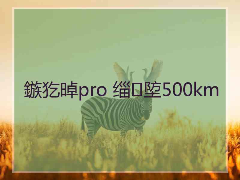 鏃犵晫pro 缁埅500km