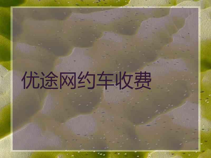 优途网约车收费