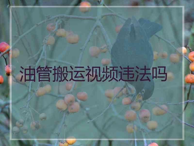 油管搬运视频违法吗