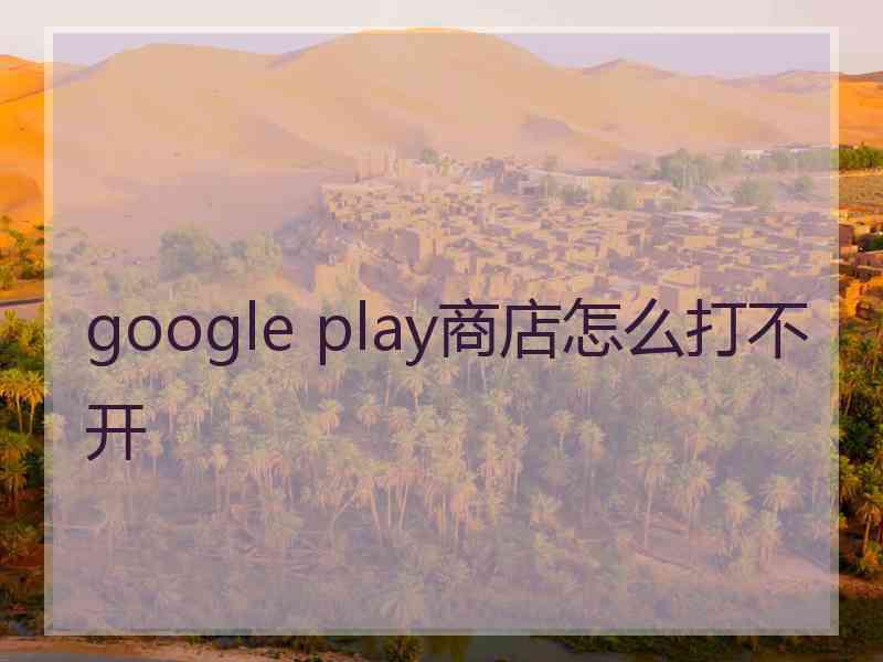 google play商店怎么打不开