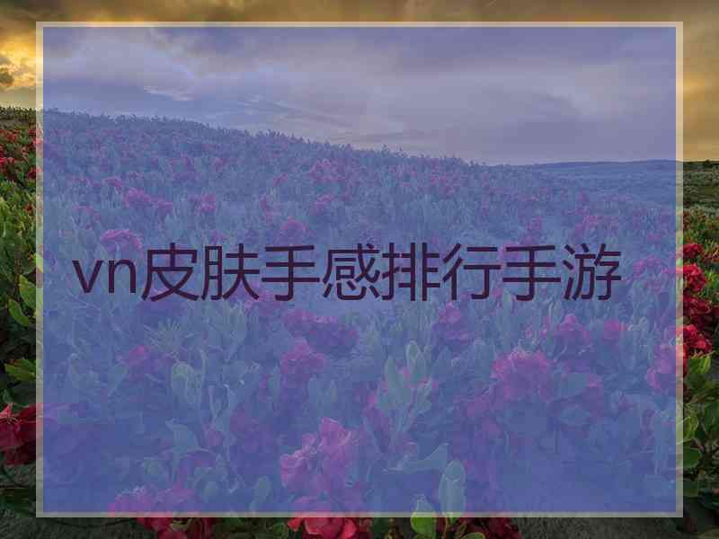 vn皮肤手感排行手游