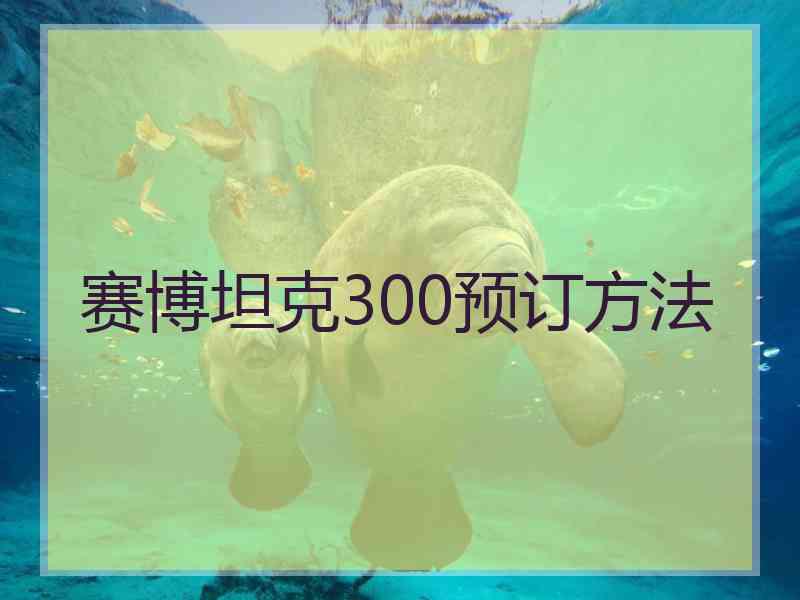 赛博坦克300预订方法