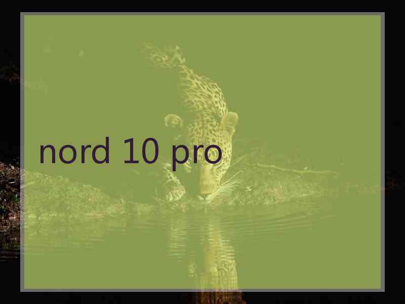 nord 10 pro