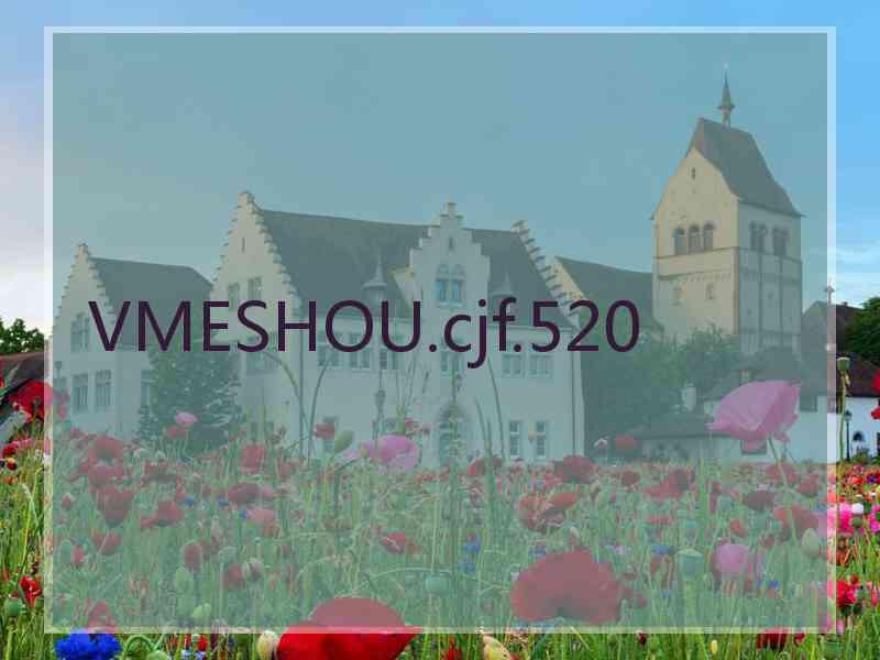 VMESHOU.cjf.520