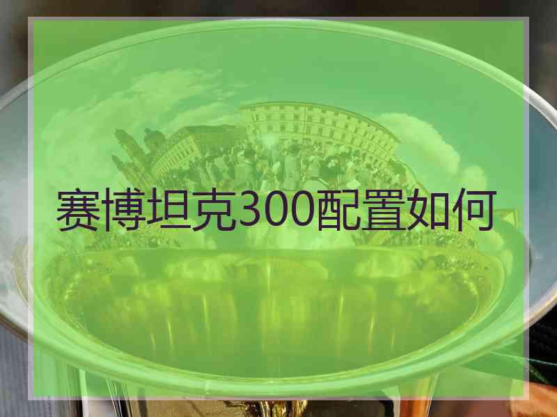 赛博坦克300配置如何