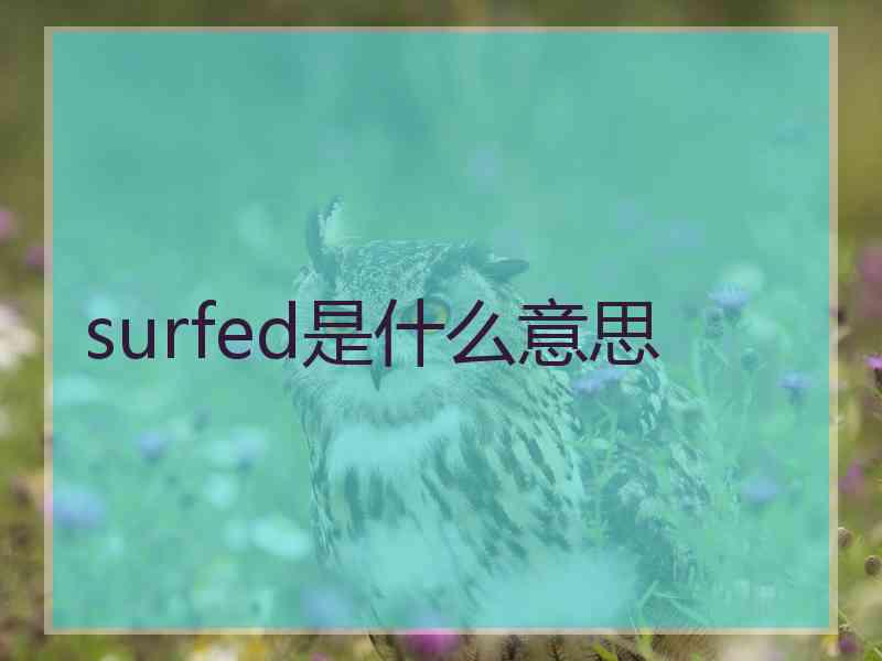 surfed是什么意思