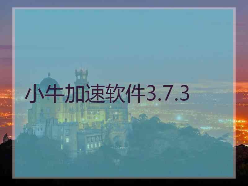 小牛加速软件3.7.3