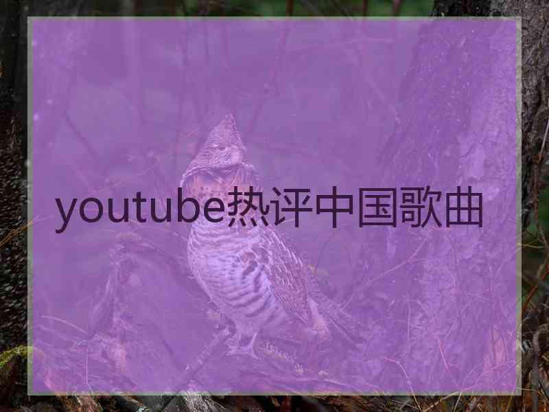 youtube热评中国歌曲