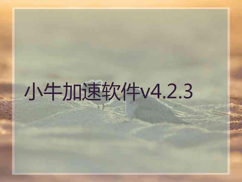 小牛加速软件v4.2.3