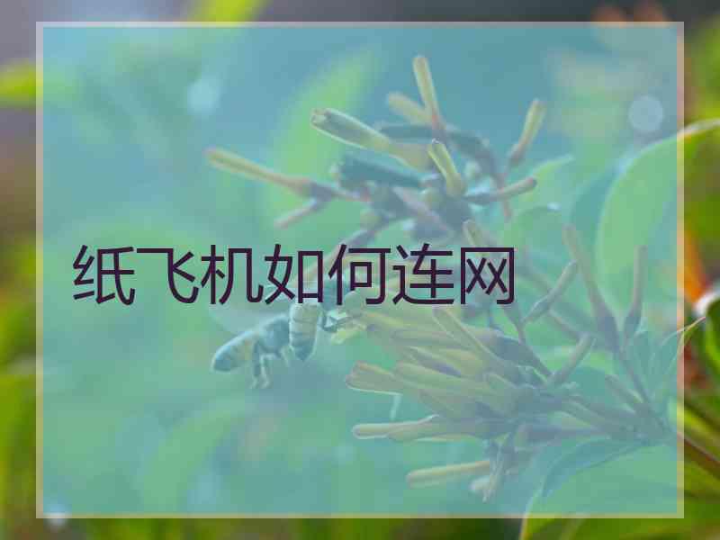 纸飞机如何连网