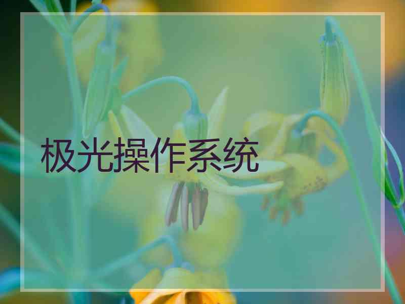 极光操作系统