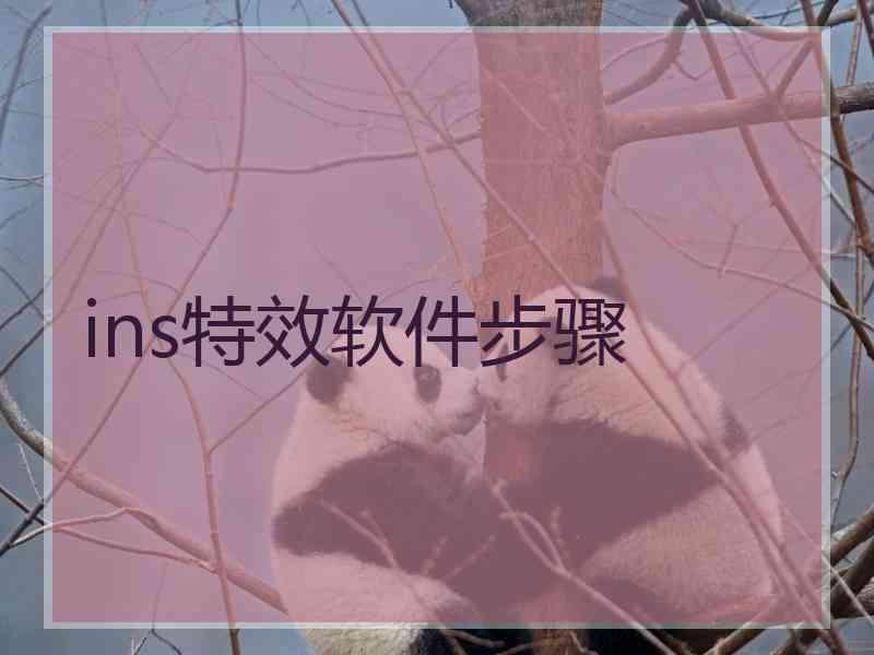 ins特效软件步骤