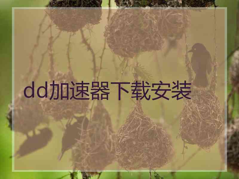 dd加速器下载安装