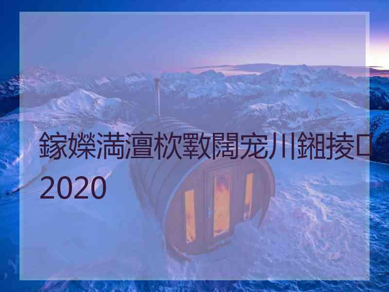 鎵嬫満澶栨斁闊宠川鎺掕2020