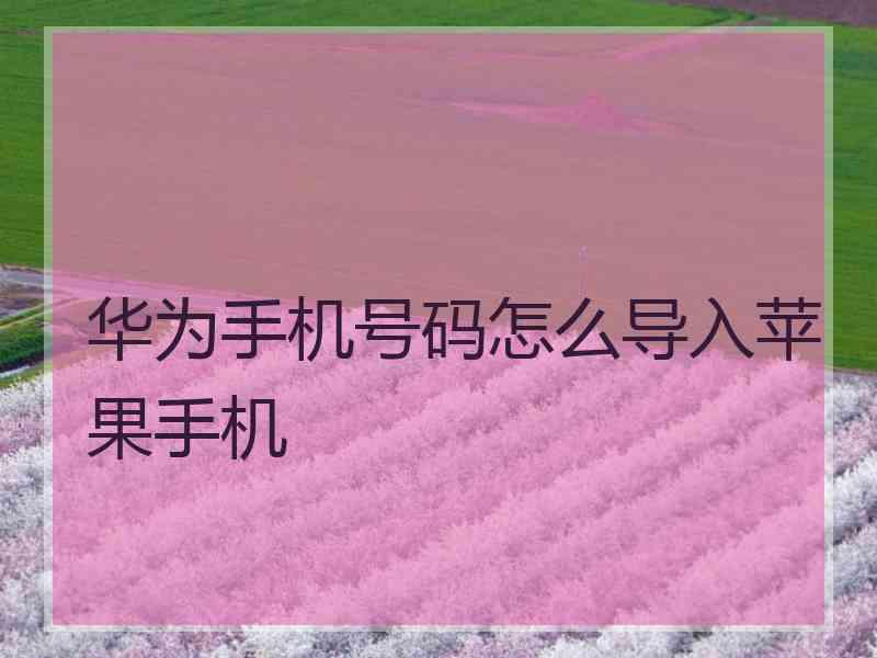 华为手机号码怎么导入苹果手机