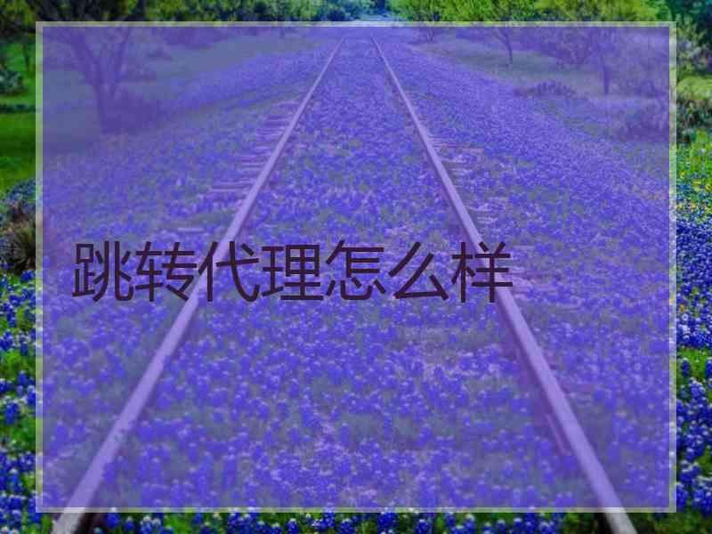 跳转代理怎么样