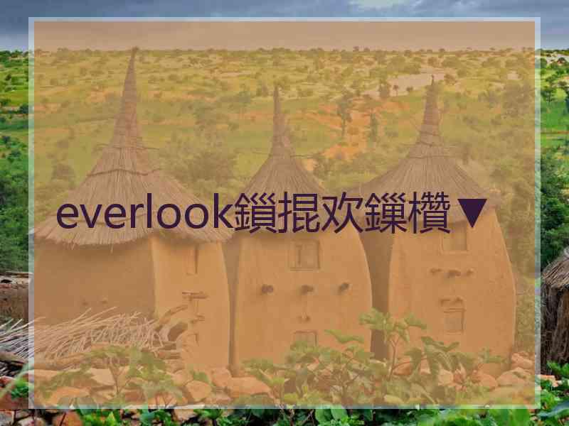 everlook鎻掍欢鏁欑▼