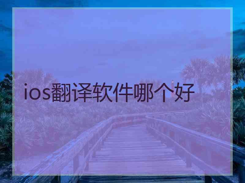 ios翻译软件哪个好