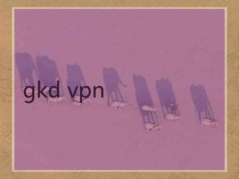 gkd vpn