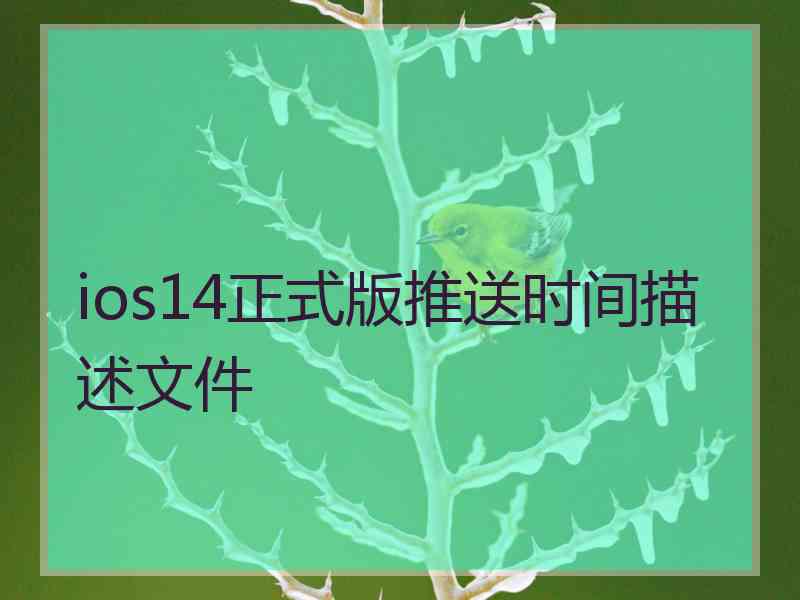 ios14正式版推送时间描述文件