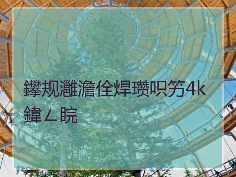 鑻规灉澹佺焊瓒呮竻4k鍏ㄥ睆