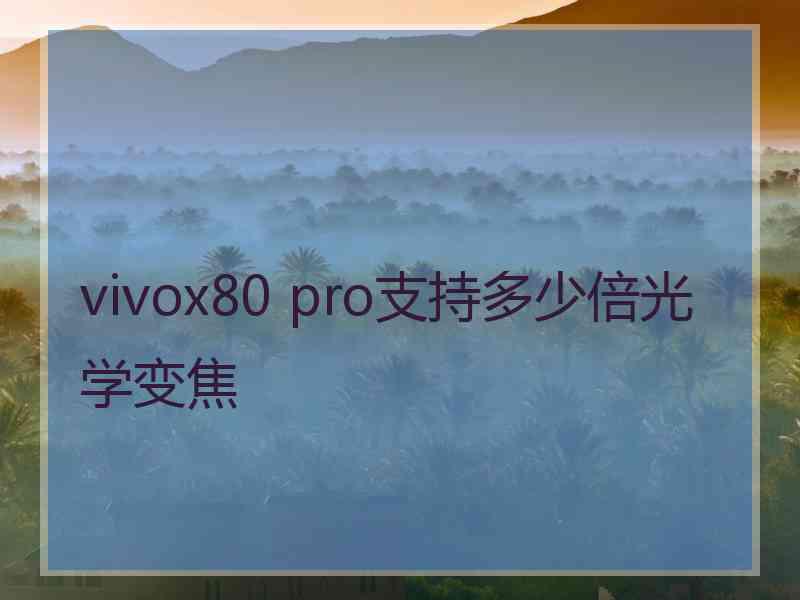 vivox80 pro支持多少倍光学变焦