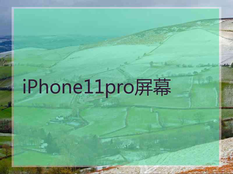 iPhone11pro屏幕