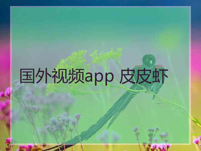 国外视频app 皮皮虾