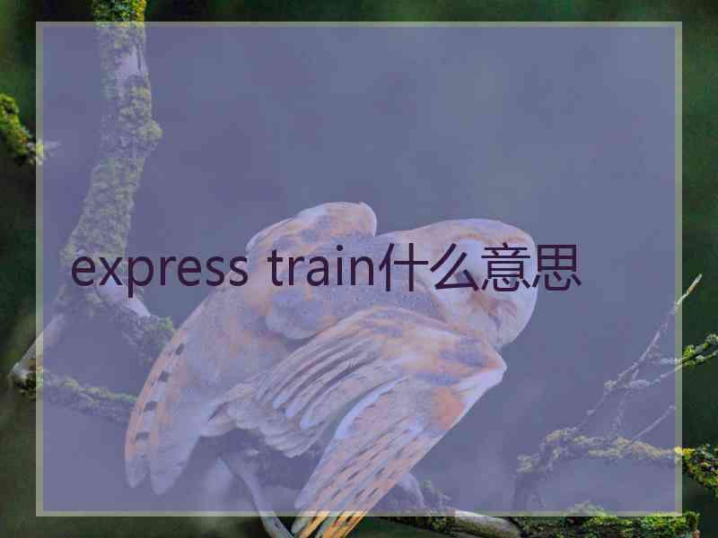 express train什么意思