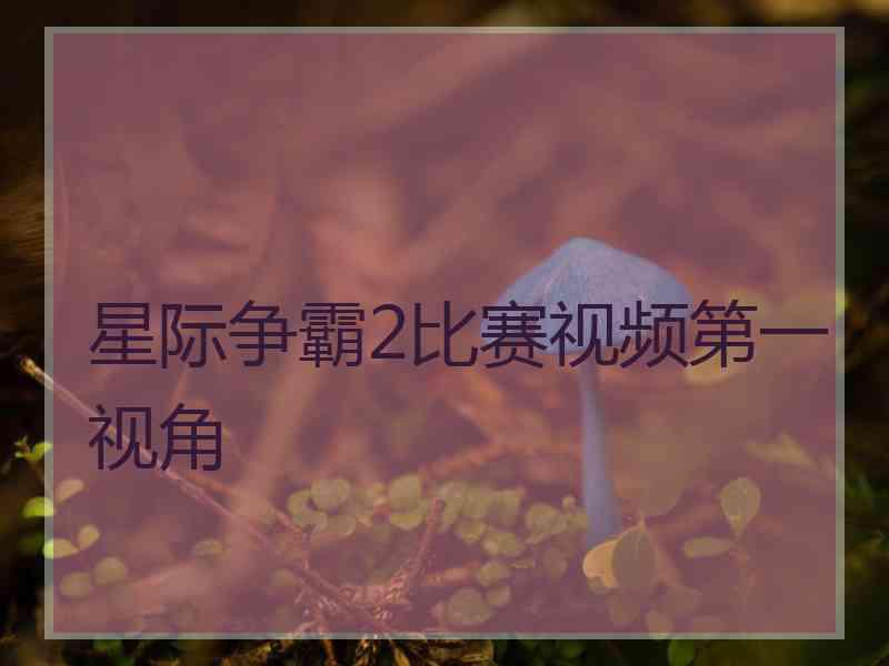 星际争霸2比赛视频第一视角