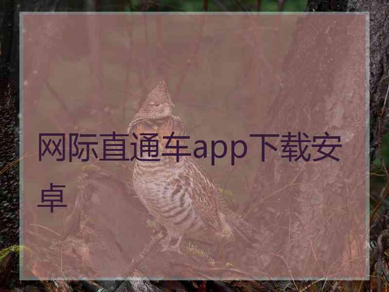 网际直通车app下载安卓