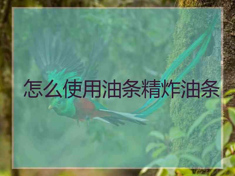 怎么使用油条精炸油条