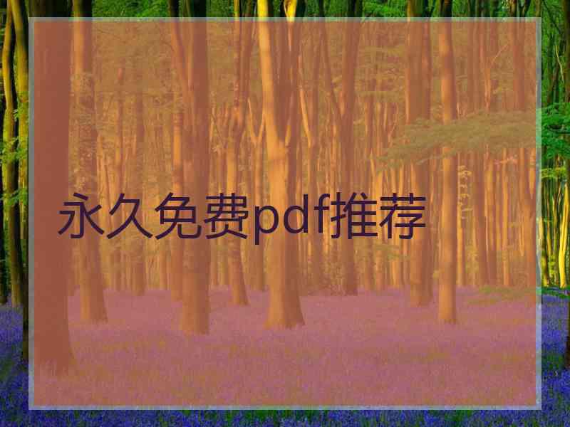 永久免费pdf推荐