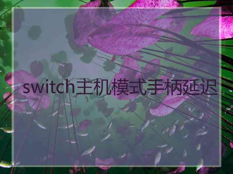 switch主机模式手柄延迟