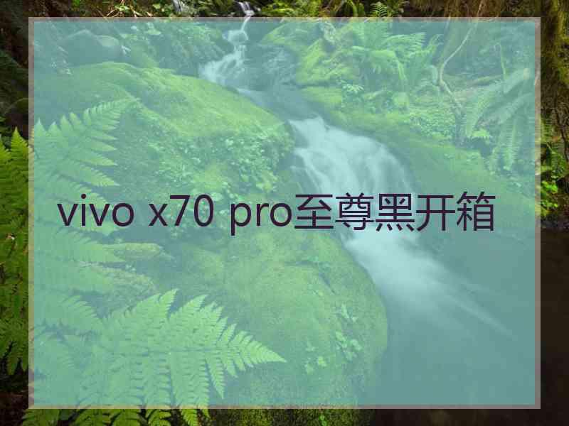 vivo x70 pro至尊黑开箱