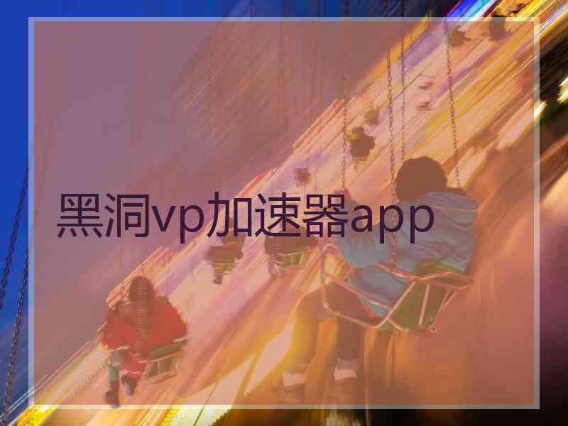 黑洞vp加速器app