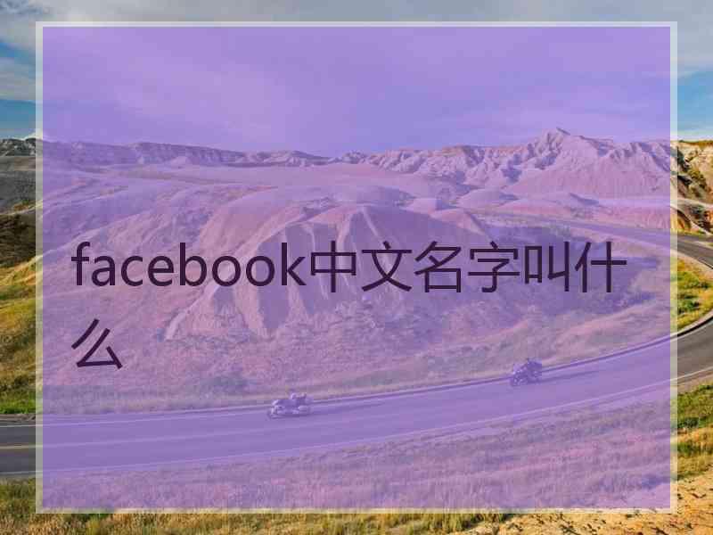 facebook中文名字叫什么