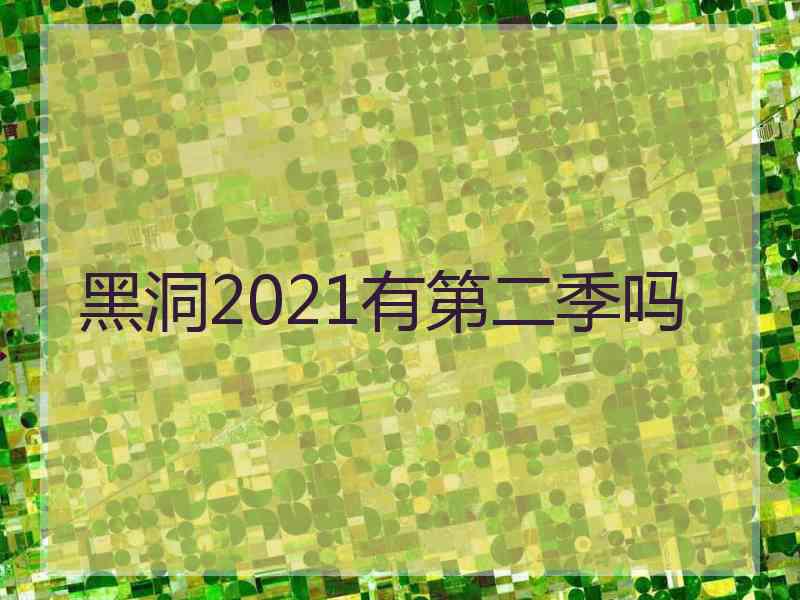 黑洞2021有第二季吗