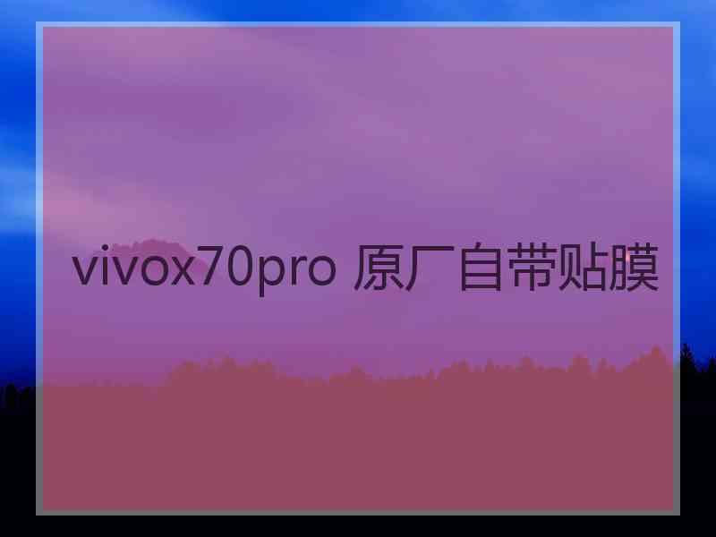 vivox70pro 原厂自带贴膜