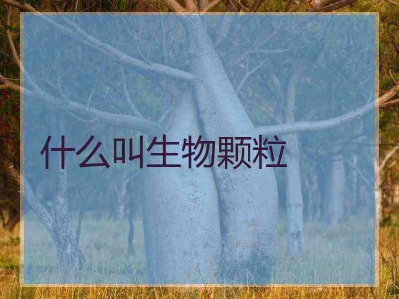 什么叫生物颗粒