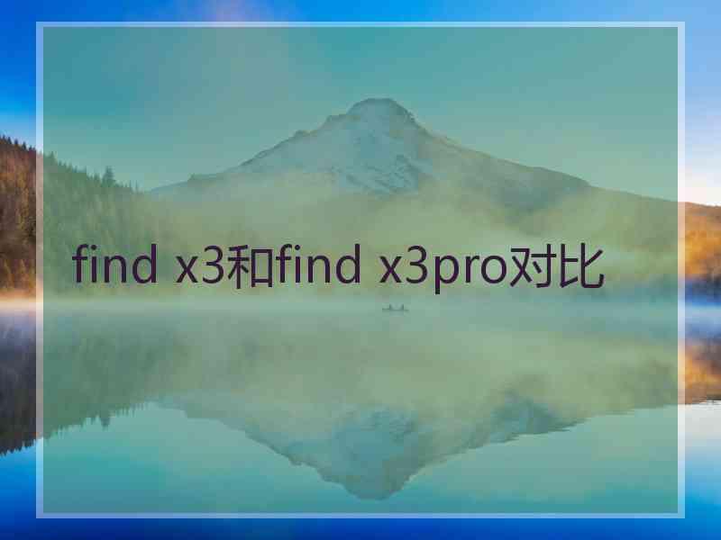 find x3和find x3pro对比