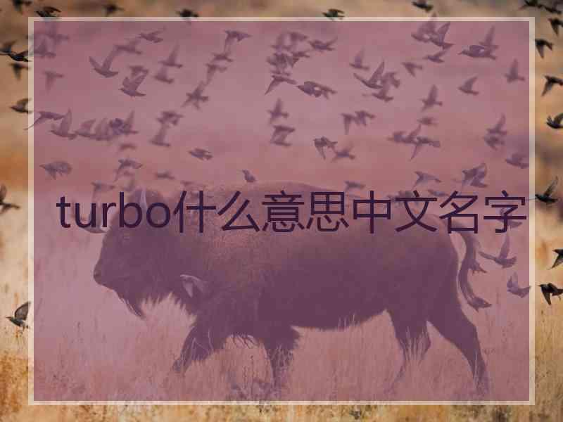 turbo什么意思中文名字