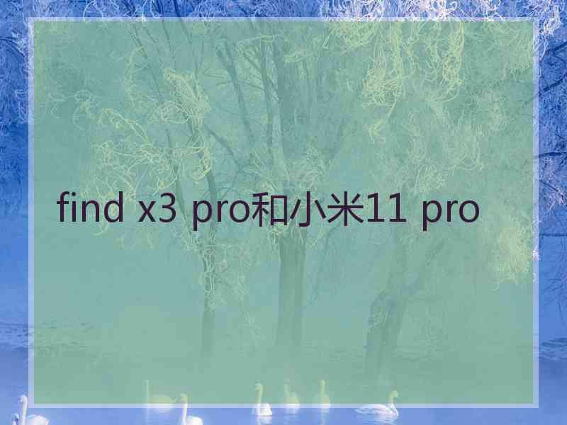 find x3 pro和小米11 pro