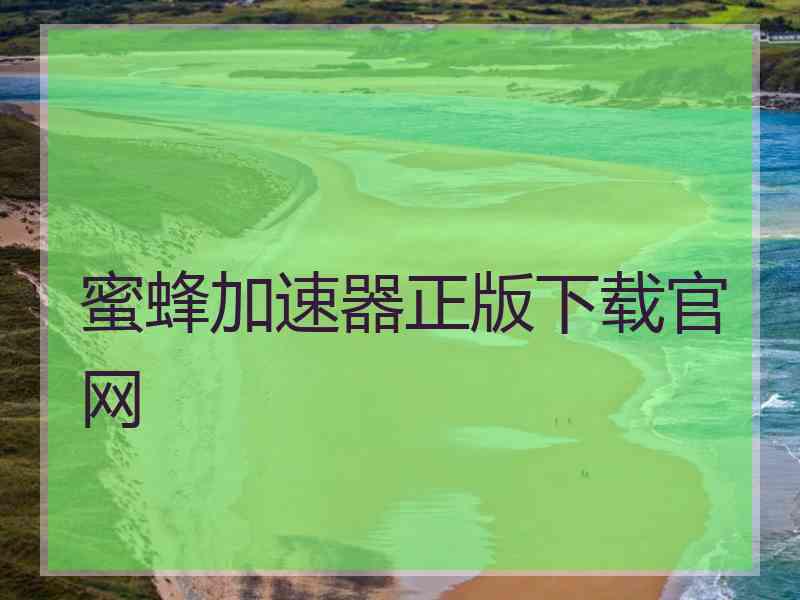 蜜蜂加速器正版下载官网