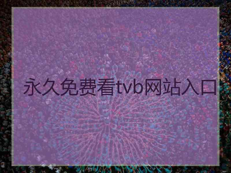 永久免费看tvb网站入口