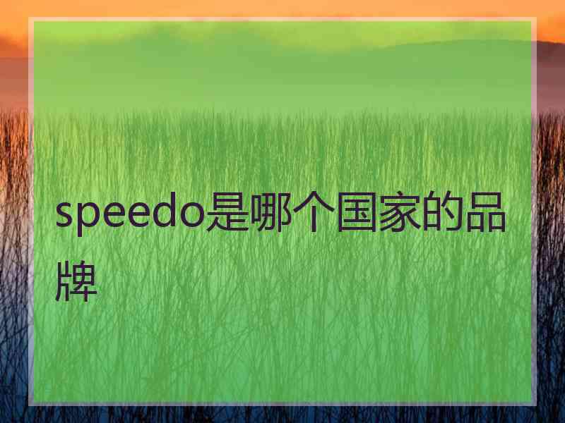 speedo是哪个国家的品牌