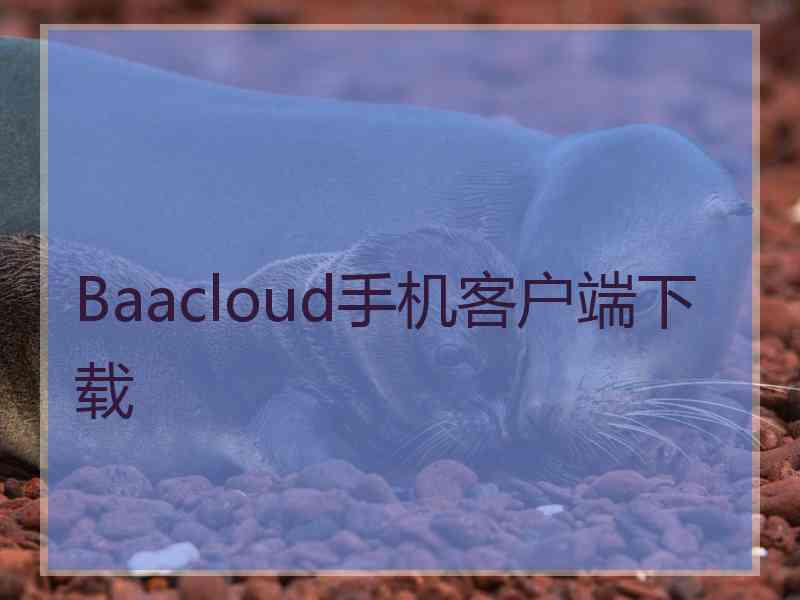 Baacloud手机客户端下载