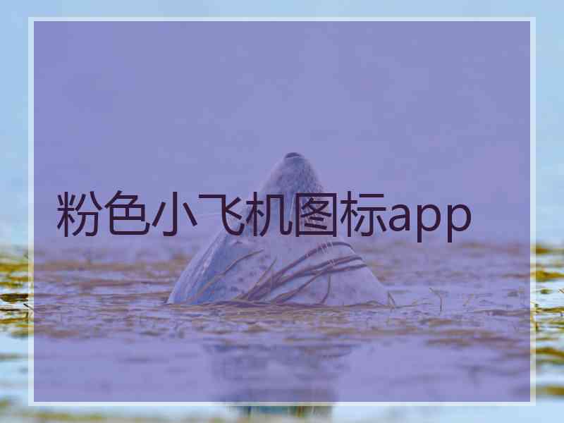 粉色小飞机图标app