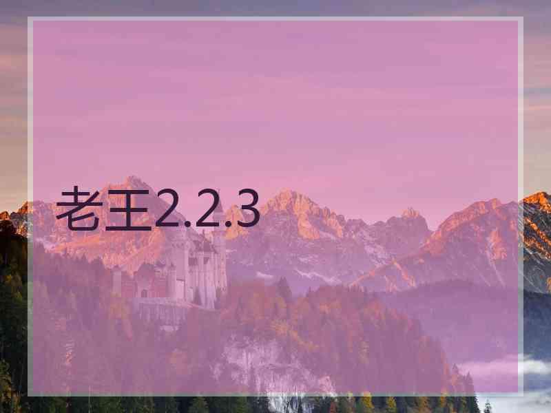 老王2.2.3