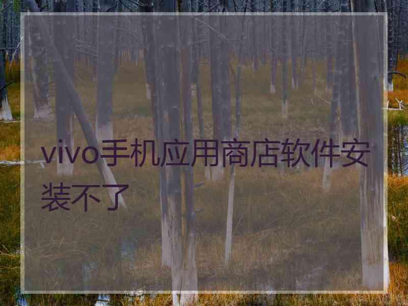 vivo手机应用商店软件安装不了